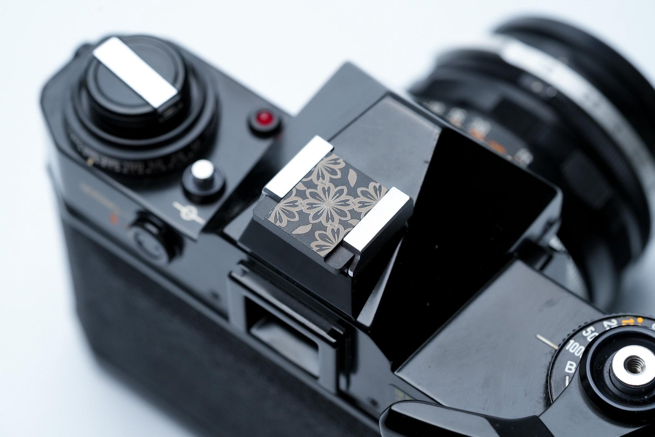 Flitsschoendeksel – Bloemenpatroon – blossom design – gelaserd aluminium – zwart gecoat