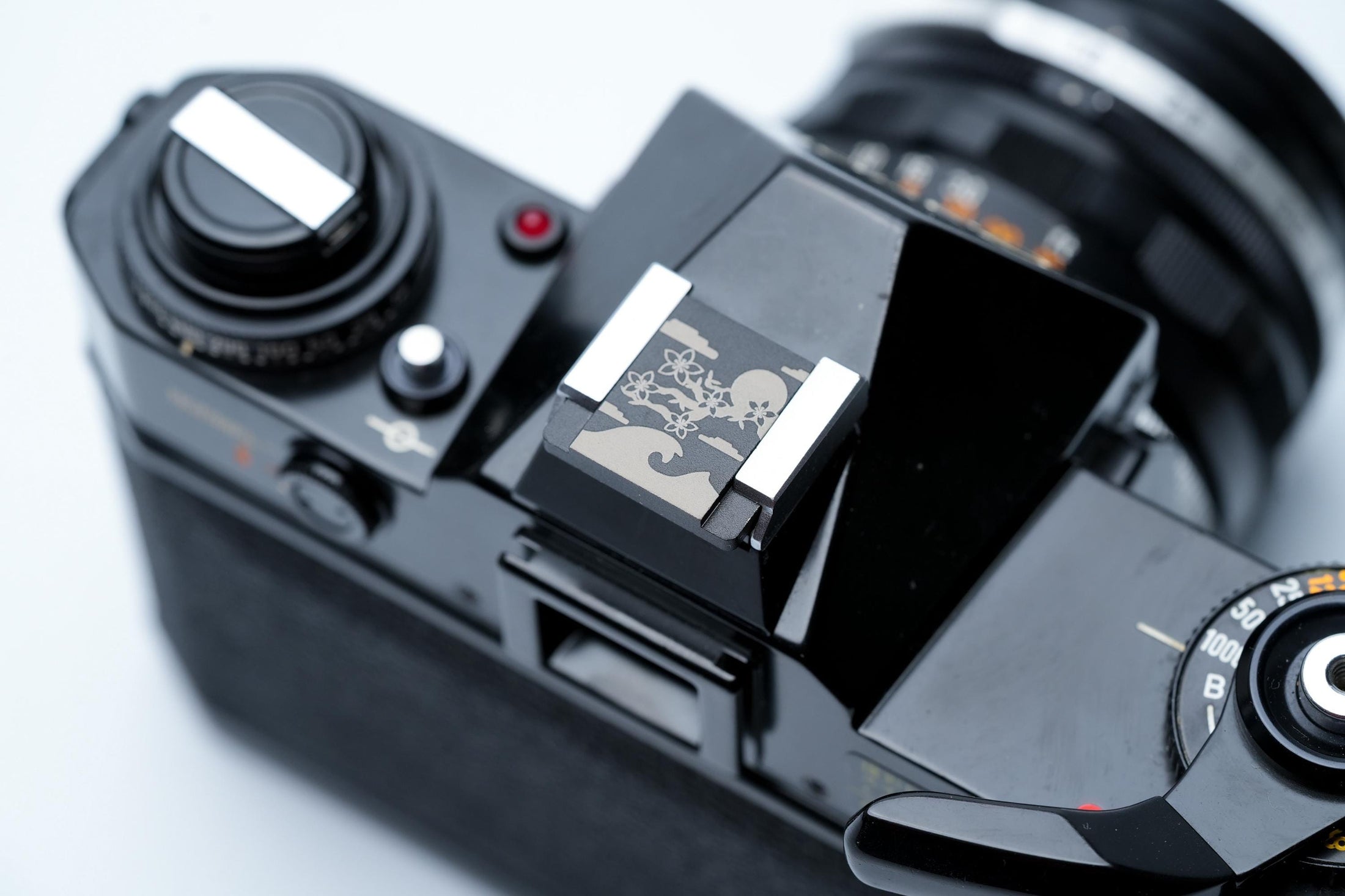 Flitsschoendeksel – Blossom flowers design – gelaserd aluminium – zwart gecoat – golven & kersenbloesem